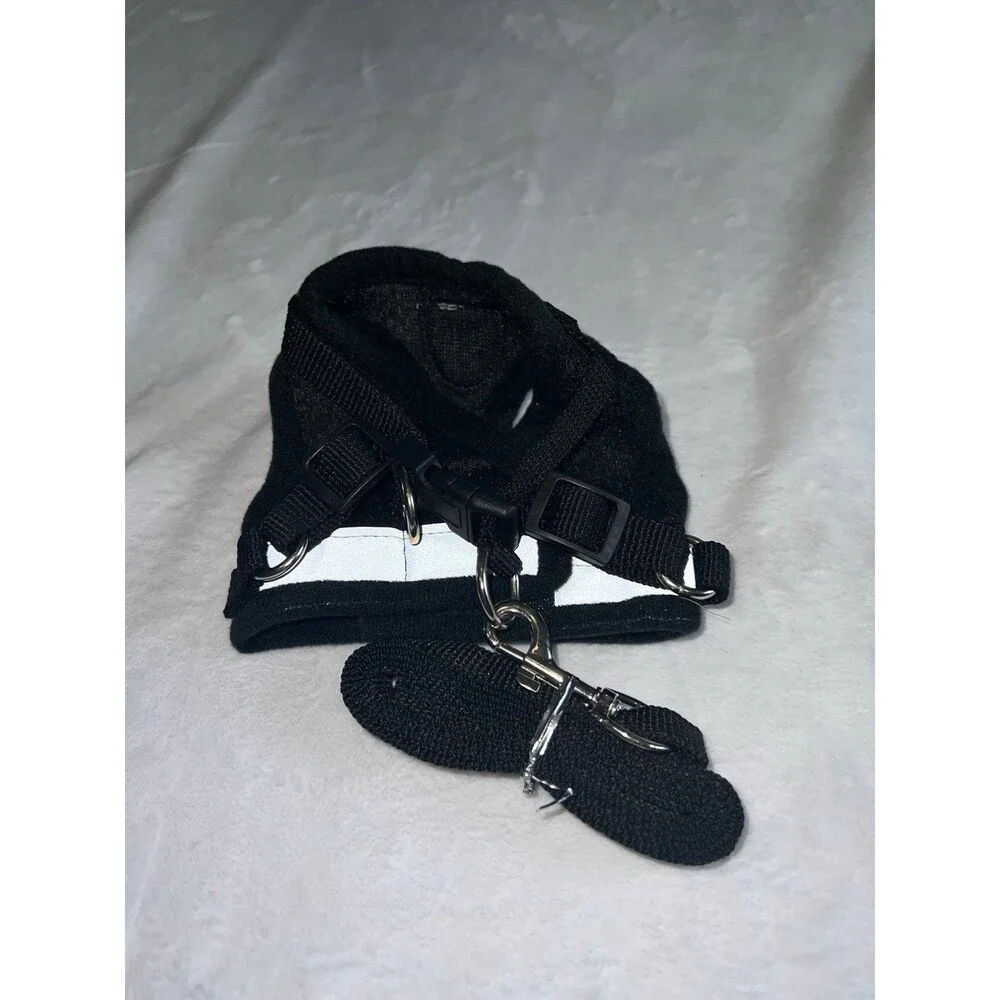 Xs pet harness & leash *my kitten was NOT a fan